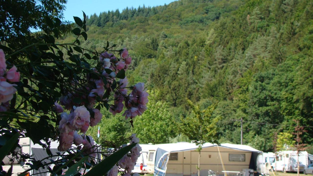 Camping Wies-Neu Dillingen Екстер'єр фото